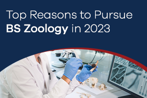 Top Reasons to Pursue BS Zoology in 2023