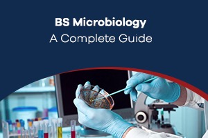 BS Microbiology: A Complete Guide