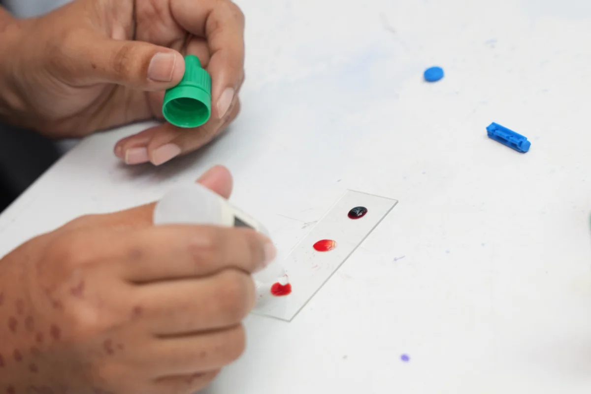 's Become a Scientist for a Day (4)