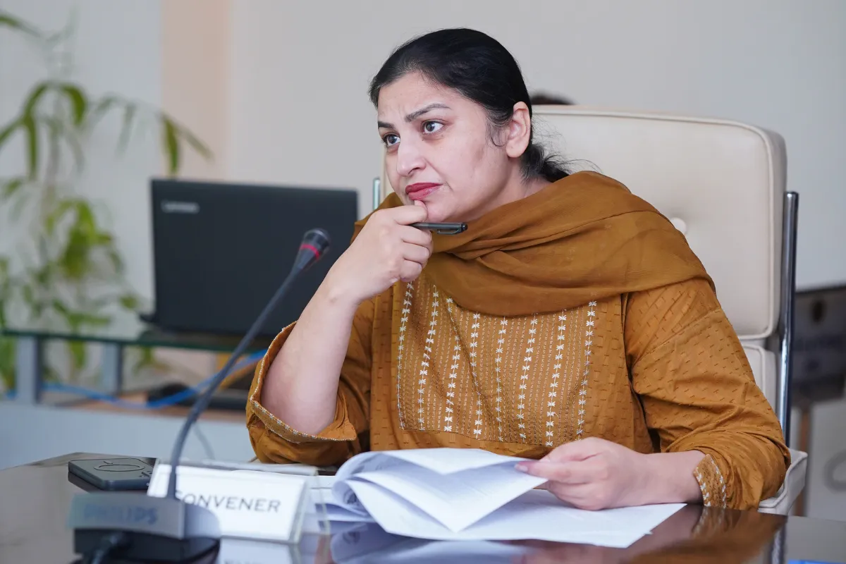 Hira Shafique’s Ph.D. Synopsis Open Defense (7)